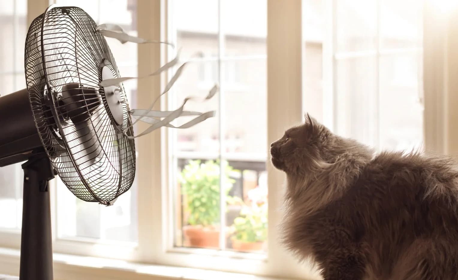 Ten Budget-Friendly Ways to Beat the Heatwave at Home