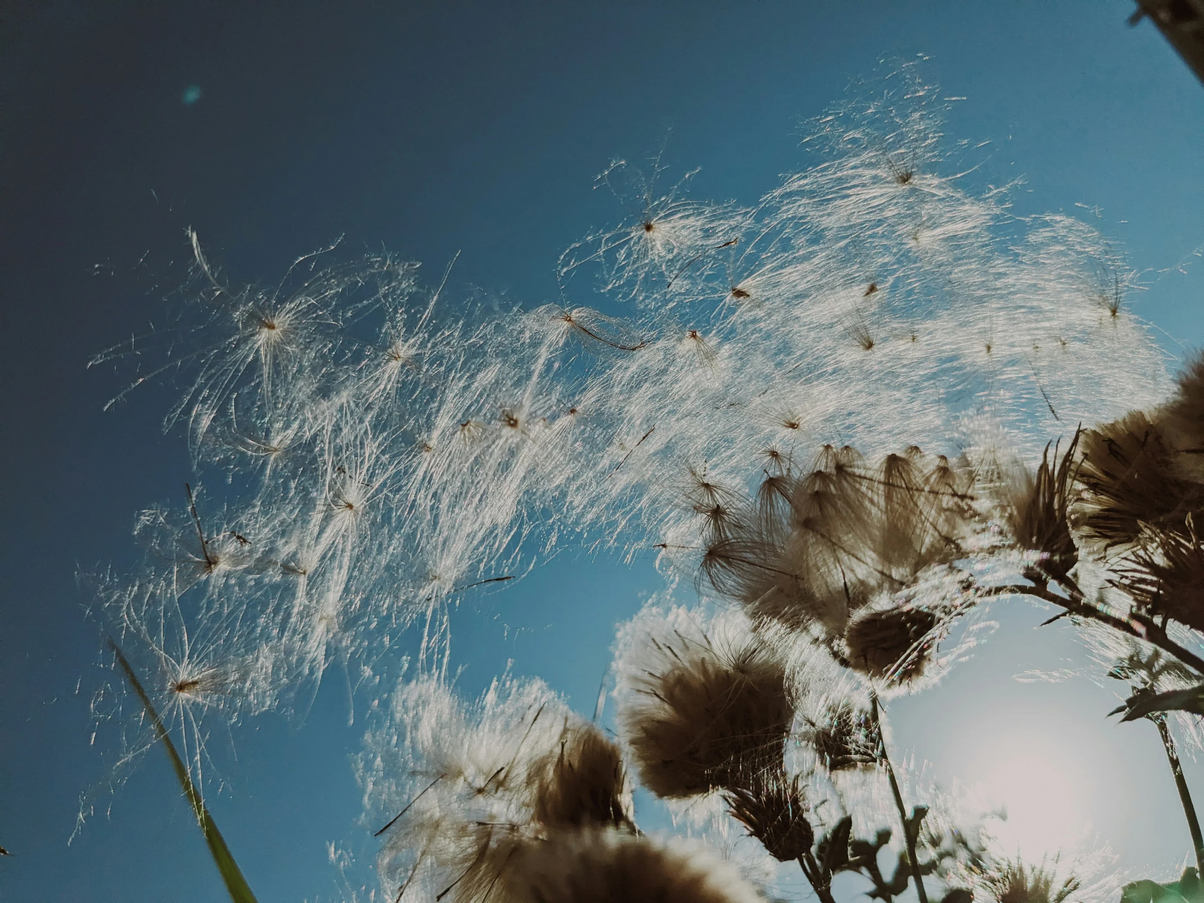 Beat Summer Allergies: Latest Findings & Top Tips for 2026